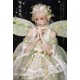 Bramble Rose Flowers and Butterflies Full Set(Leftovers/6 Colours/Full Payment Without Shipping)